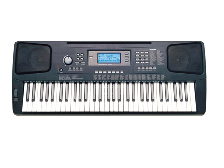 SD-153 �̌W�������